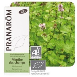 Huile essentielle bio de Menthe des champs Pranarôm 10 ml