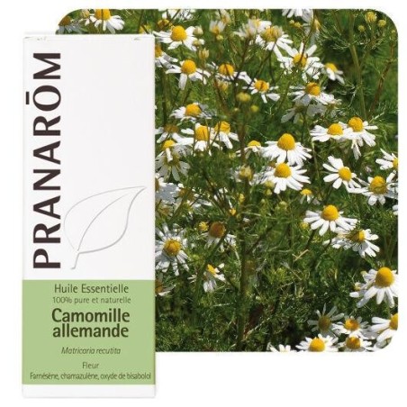Flacon de Camomille matricaire ou allemande Pranarôm