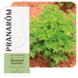 Image du produit Géranium bourbon de Pranarôm en comprimés