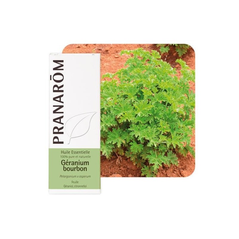 Image du produit Géranium bourbon de Pranarôm en comprimés