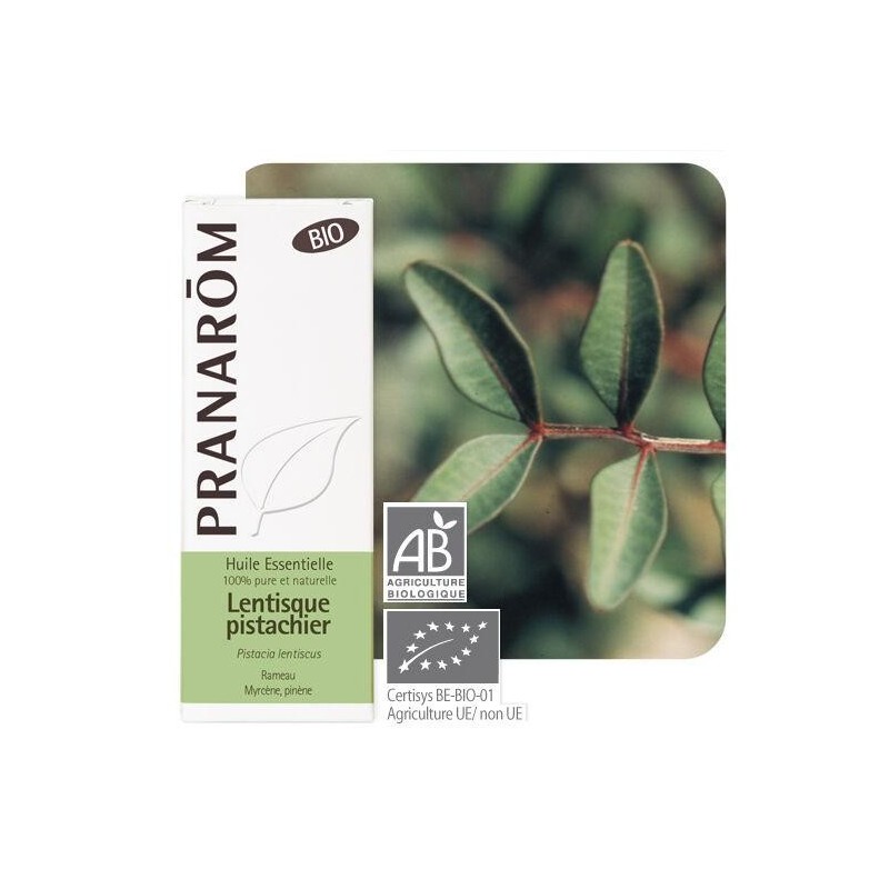 Gélules Lentisque pistachier Bio Pranarôm