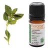Basilic français Bio de Florame - huile essentielle 50 ml