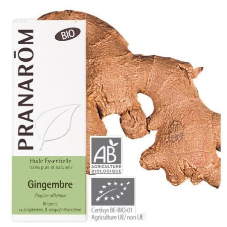 Huile essentielle bio de Gingembre