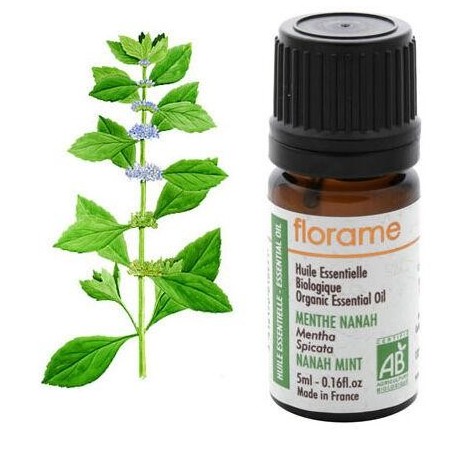 Huile essentielle de Menthe Nanah Bio de Florame