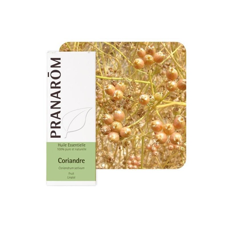 Huile essentielle de Coriandre (Coriandrum sativum) bio 10 ml