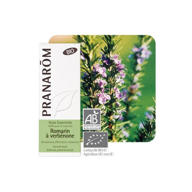 Huile essentielle de romarin à verbénone bio Pranarôm