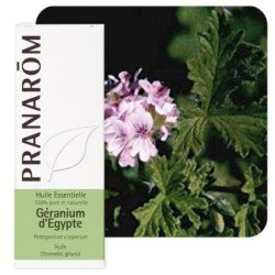 Huile essentielle Géranium d'Égypte Pranarôm 10 ml