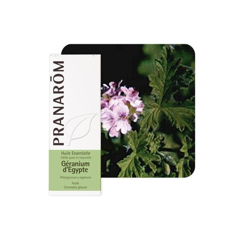 Huile essentielle Géranium d'Égypte Pranarôm 10 ml