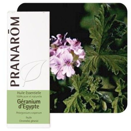 Huile essentielle Géranium d'Égypte Pranarôm 10 ml