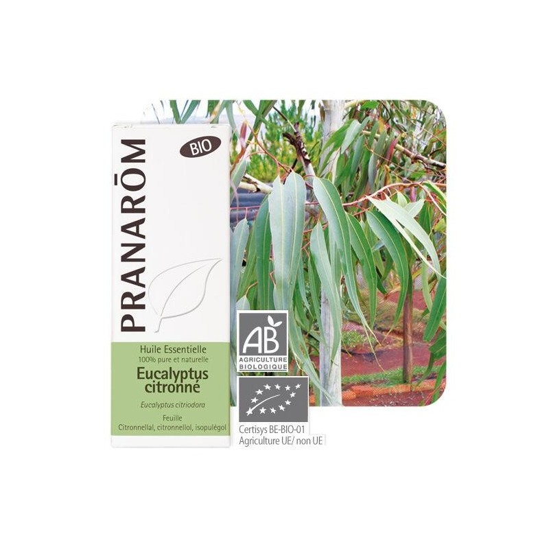 Complément alimentaire Eucalyptus citronné bio Pranarôm