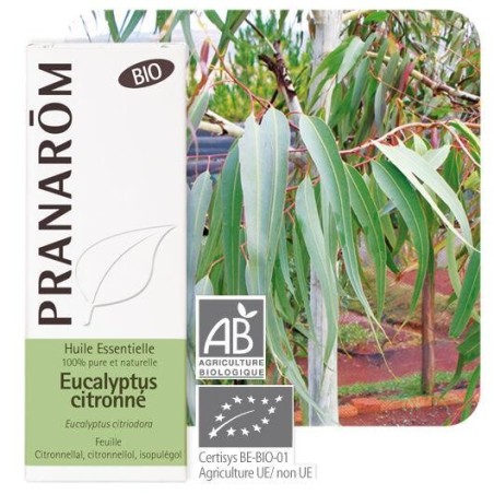 Complément alimentaire Eucalyptus citronné bio Pranarôm