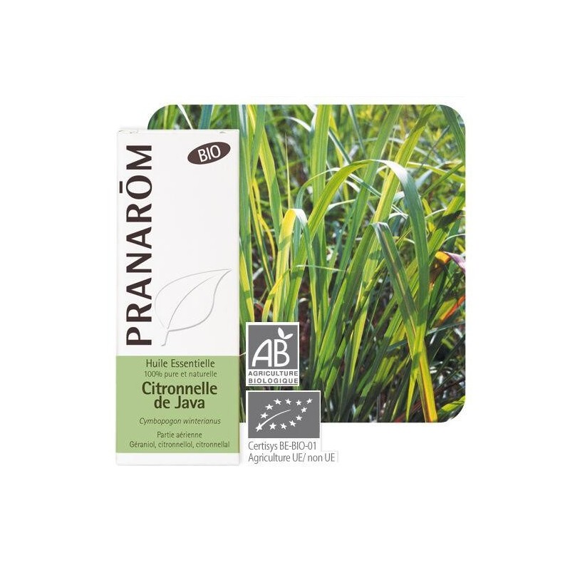 Huile essentielle Citronnelle de Java Bio Pranarôm répulsif anti-moustiques purifiant