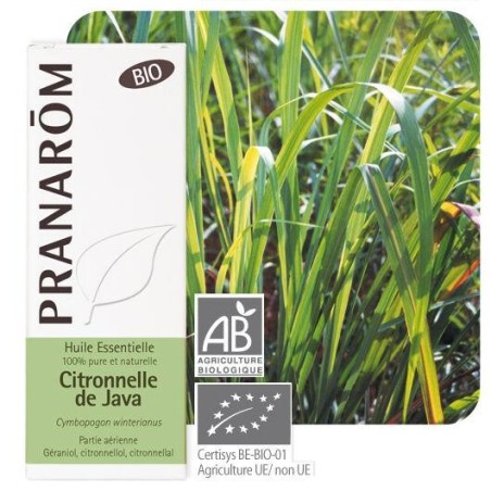Huile essentielle Citronnelle de Java Bio Pranarôm répulsif anti-moustiques purifiant