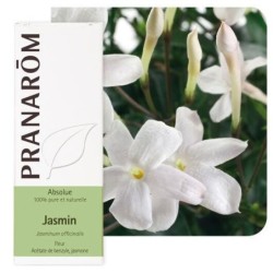 Jasmin Absolue 50 ml - huile essentielle bio apaisante pour bien-être et diffusion