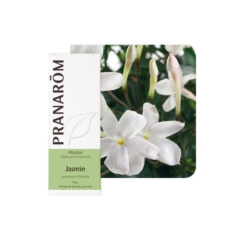 Jasmin Absolue 50 ml - huile essentielle bio apaisante pour bien-être et diffusion