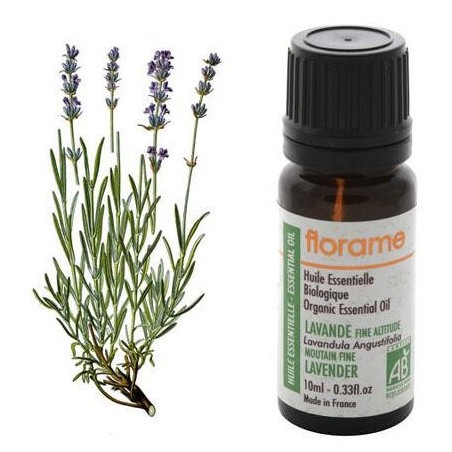 Lavande fine d'altitude Bio de Florame