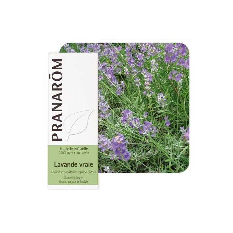 Huile essentielle Lavande vraie bio Pranarôm 10 ml