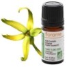 Image de l'huile essentielle Ylang Ylang extra Bio de Florame