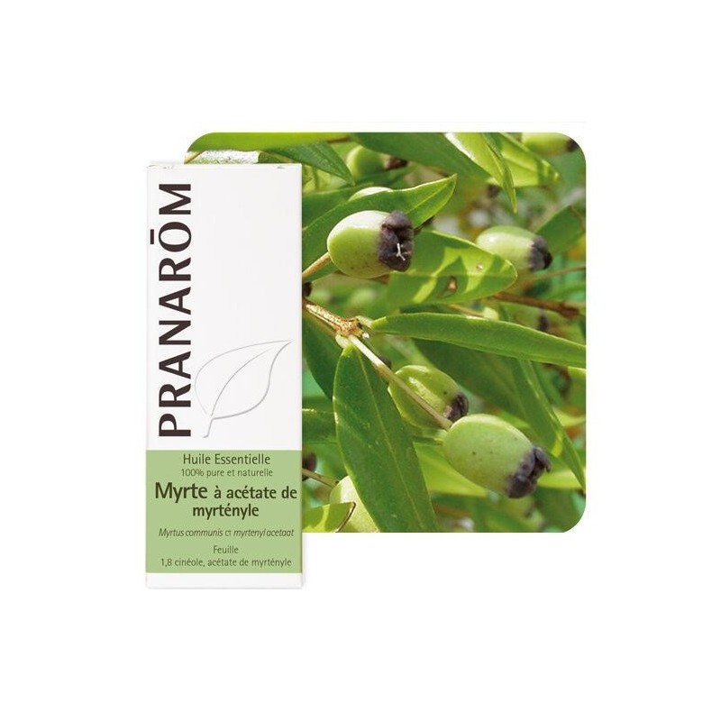 Image de Myrte Verte à Cinéole de Pranarôm