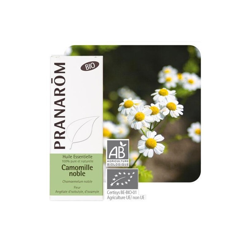 Huile essentielle de Camomille noble bio de Pranarôm