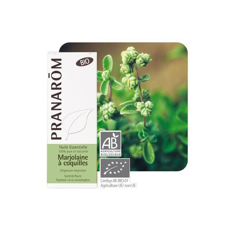 Gélules de Marjolaine à coquille bio Pranarôm pour le bien-être et la gestion du stress