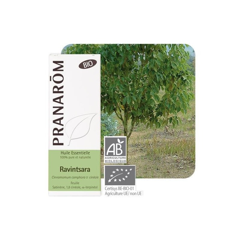 Huile essentielle Ravintsara bio Pranarôm 10 ml