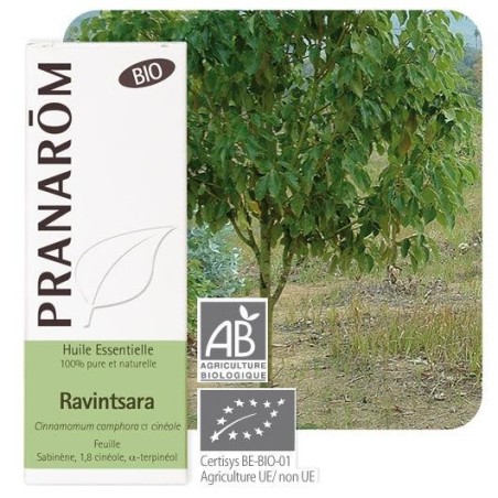 Huile essentielle Ravintsara bio Pranarôm 10 ml