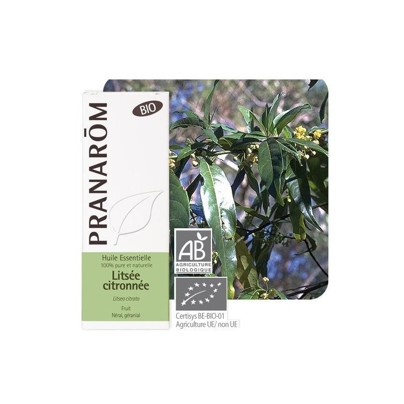 Litsée citronnée bio de Pranarôm - huile essentielle pour la relaxation et le bien-être mental