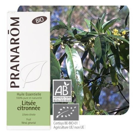 Litsée citronnée bio de Pranarôm - huile essentielle pour la relaxation et le bien-être mental