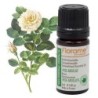 Huile essentielle de Rose Absolue de Florame