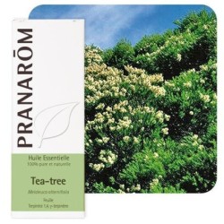 Huile essentielle Tea Tree Pranarôm 10 ml pour peau impure et cuir chevelu sain