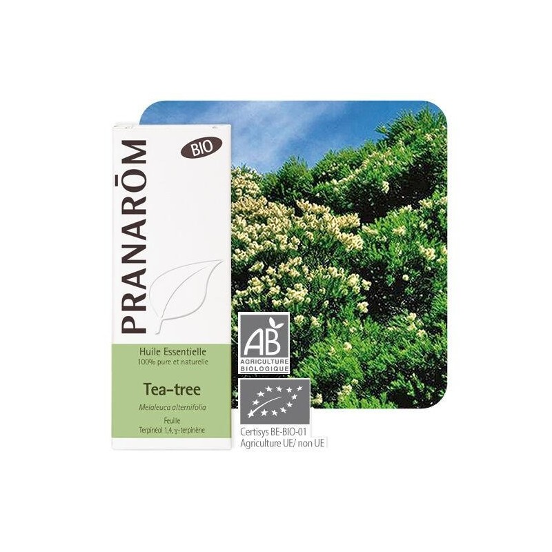 Huile essentielle Tea Tree bio de Pranarôm 10 ml