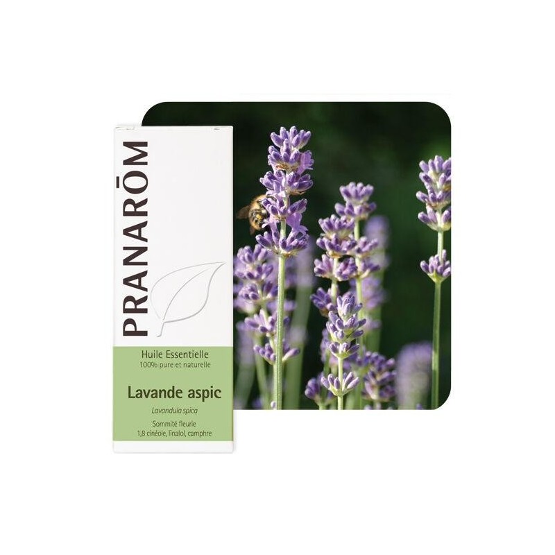 Huile essentielle de Lavande aspic Pranarôm 10 ml pour soulager piqûres et brûlures