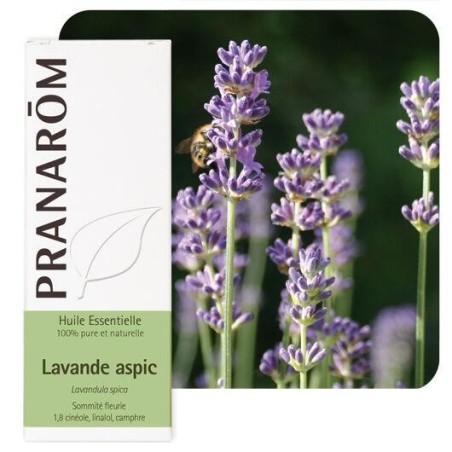 Huile essentielle de Lavande aspic Pranarôm 10 ml pour soulager piqûres et brûlures