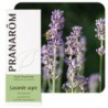 Huile essentielle de Lavande aspic Pranarôm 10 ml pour soulager piqûres et brûlures