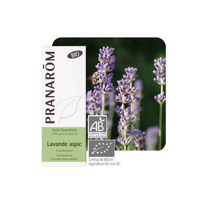 Flacon de 10 ml d'huile essentielle de Lavande aspic bio de Pranarôm pour apaiser les brûlures et piqûres d'insectes.