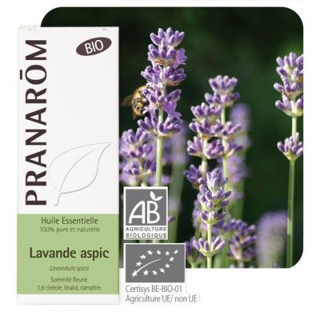 Flacon de 10 ml d'huile essentielle de Lavande aspic bio de Pranarôm pour apaiser les brûlures et piqûres d'insectes.