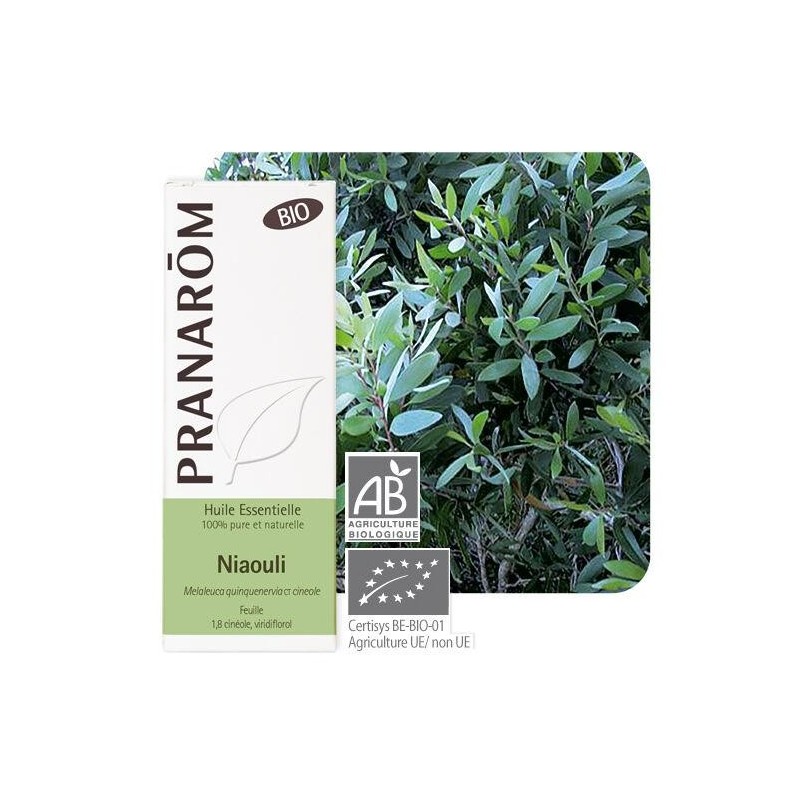 Huile essentielle Niaouli bio Pranarom 10 ml