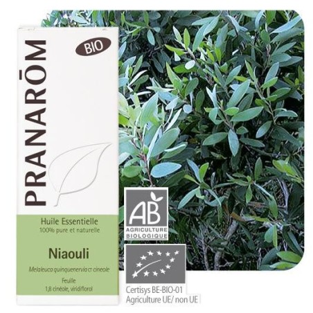 Huile essentielle Niaouli bio Pranarom 10 ml