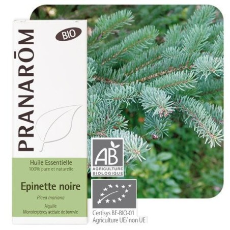 Huile essentielle d'Épinette noire bio Pranarôm 10ml pour fatigue et purification respiratoire