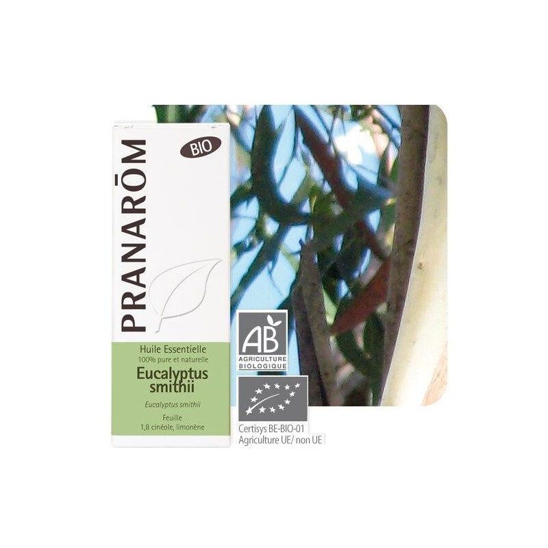 Complément alimentaire Eucalyptus smithii Bio de Pranarôm en gélules