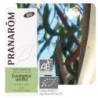 Complément alimentaire Eucalyptus smithii Bio de Pranarôm en gélules