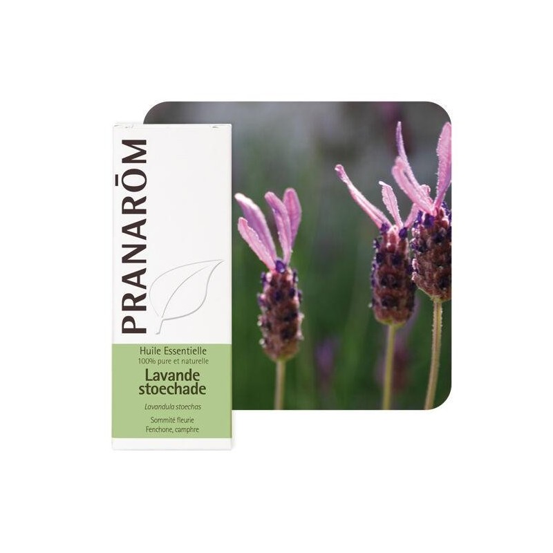 Gélules de Lavande Stoechade Pranarôm - huile essentielle bio pour le bien-être et la relaxation.
