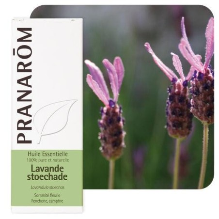 Gélules de Lavande Stoechade Pranarôm - huile essentielle bio pour le bien-être et la relaxation.