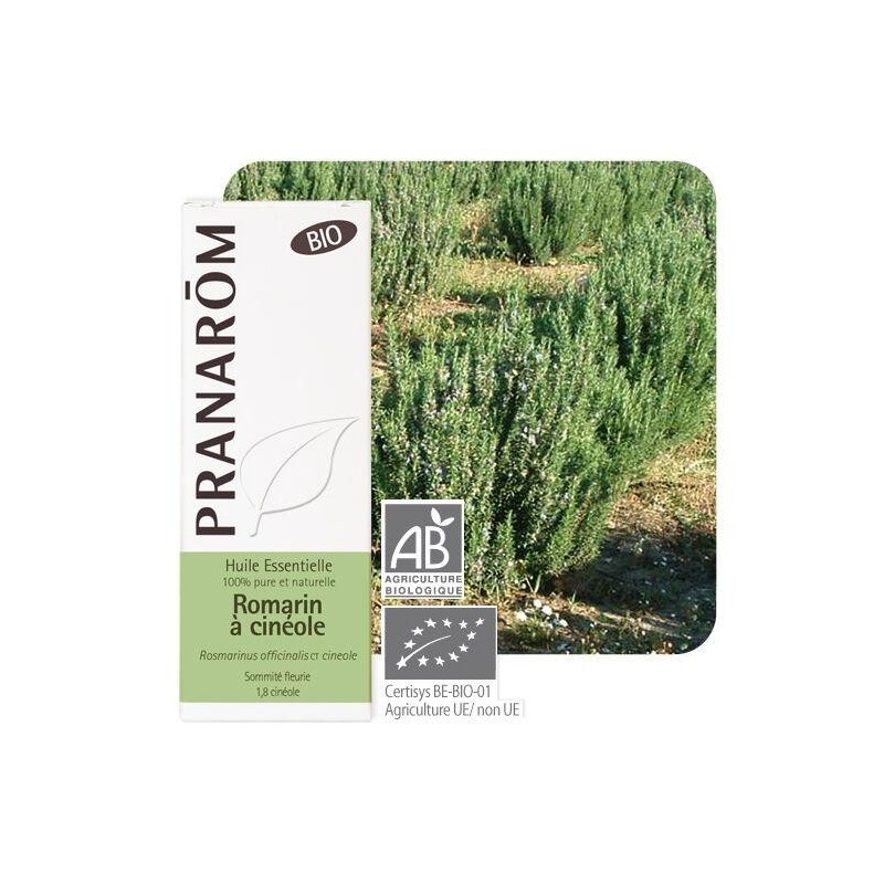 Flacon de 10 ml d'huile essentielle de romarin à cinéole bio Pranarôm