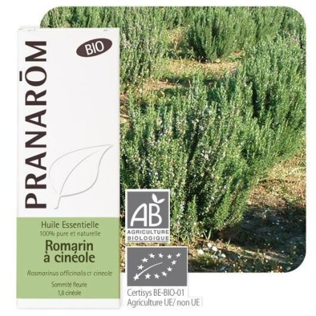 Flacon de 10 ml d'huile essentielle de romarin à cinéole bio Pranarôm