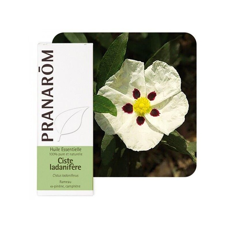 Huile essentielle Ciste ladanifère 5 ml bio Pranarôm
