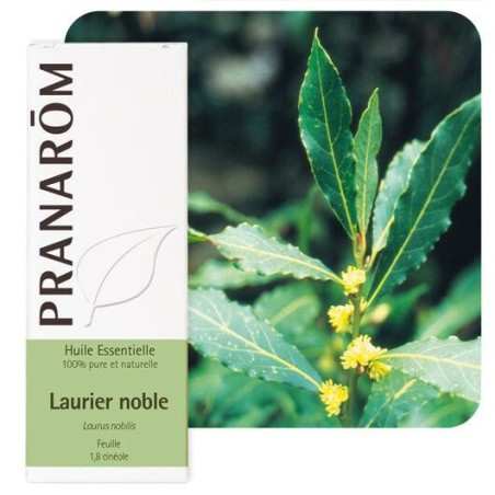 Huile essentielle Laurier Noble 5 ml Pranarôm
