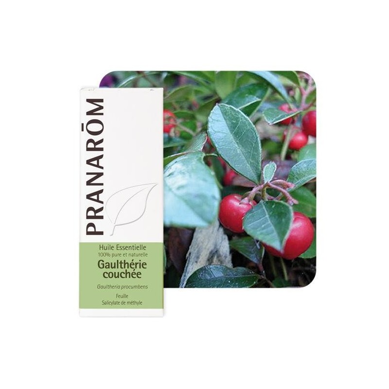 Huile essentielle Gaulthérie couchée Pranarôm 10 ml pour soulager douleurs musculaires et articulaires