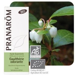 Huile essentielle de Gaulthérie odorante bio Pranarôm 10ml pour soulager les douleurs musculaires et articulaires